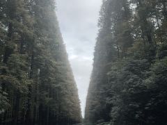 -上海怡沁园度假酒店