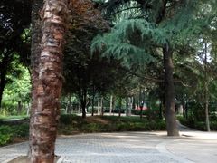 门面-西安市长乐公园