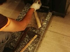 -荣德灶台鱼(圣泉寺店)