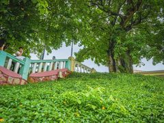 -龙环葡韵住宅式博物馆