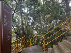 -海南霸王岭国家森林公园