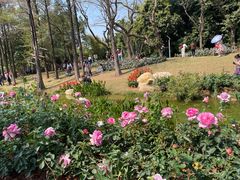 -人民公园(罗湖区)