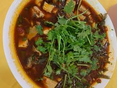 红汤三角峰-胖大姐黄辣丁鱼庄(新津店)