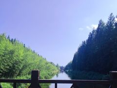 -黄海国家森林公园