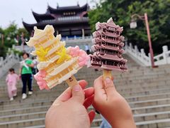 -黄鹤楼公园(黄鹤楼)