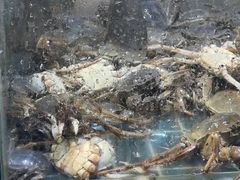 -九月海·海鲜自助(世纪东方店)