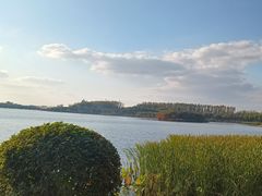 -丁香湖公园