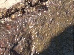 iphone_upload_pic-大浪湾