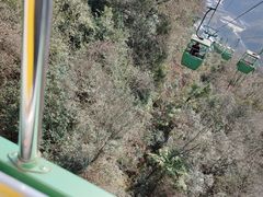 -九皇山景区