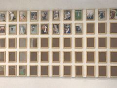 -苏州安宠宠物火化服务有限公司