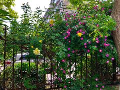 -山东理工大学