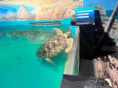 -正佳极地海洋世界