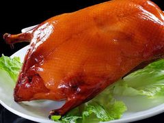 -宋柏树北京果木烤鸭(安东卫店)