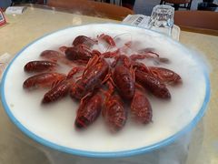 -杨氏青龙虾·羊蝎子(珠江路店)