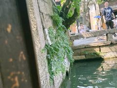 -乌镇景区