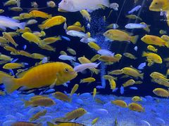 -成都浩海立方海洋公园