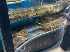 -四海蒸鲜蒸汽海鲜自助(北戴河店)