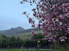 -西安市金南山绿色墓园