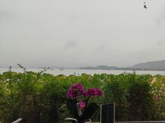 -湖畔居茶楼(湖滨店)