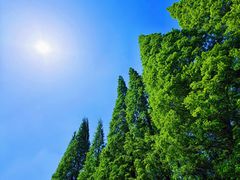 -宜兴龙背山森林公园