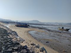 -北岐滩涂