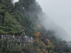 -老君山风景名胜区