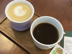 -SAFARI COFFEE