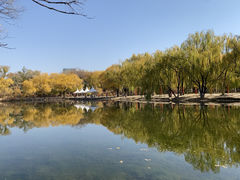-青城公园