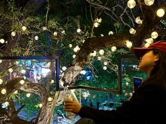 -LAMP BAR 水烟音乐酒吧
