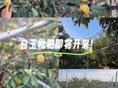 -东山风景区(洞庭东山)