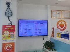 -北京观赏动物医院·24小时大型综合·猫专科·异宠专科