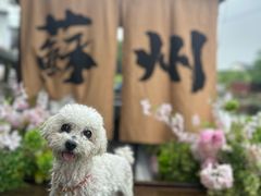 -欢乐蟹庄·精品农家乐(阳澄湖莲花岛店)