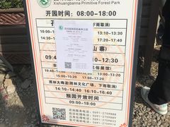 -西双版纳原始森林公园