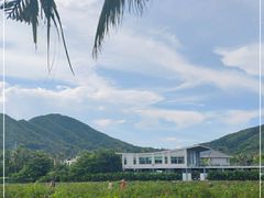 -亚龙湾国际玫瑰谷