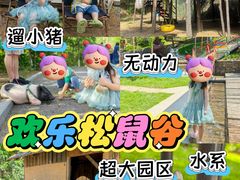 -欢乐松鼠谷