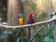 -杭州开元森泊度假乐园