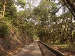 -美心皇宫(屯门大会堂店)