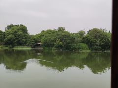 -西湖游船