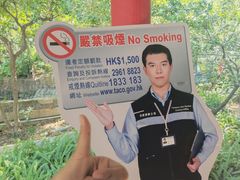 -九龙公园