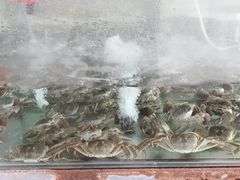 -七的湖·晚芳亭·阳澄湖农家菜·大闸蟹(莲花岛店)