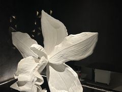 -本源食集 日式烧肉·炉端烧(东海缤纷店)