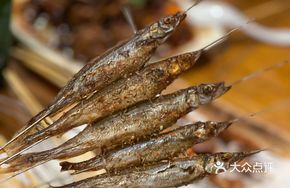 Seed Fish