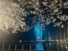 -蠡湖大桥公园