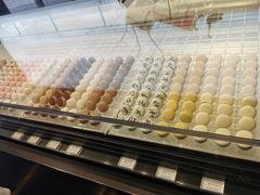 -BLACKSWAN黑天鹅(环球店)