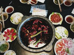 屠肠直供鲜极品毛肚-茅草房·河畔园林火锅