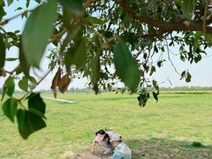 -汉长安城未央宫国家考古遗址公园