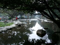 -神仙树公园