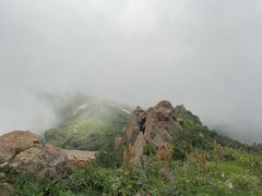 -白草畔自然风景区