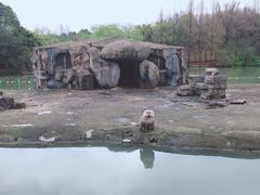 -宁波野生动物园