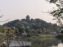 -王借岗森林公园